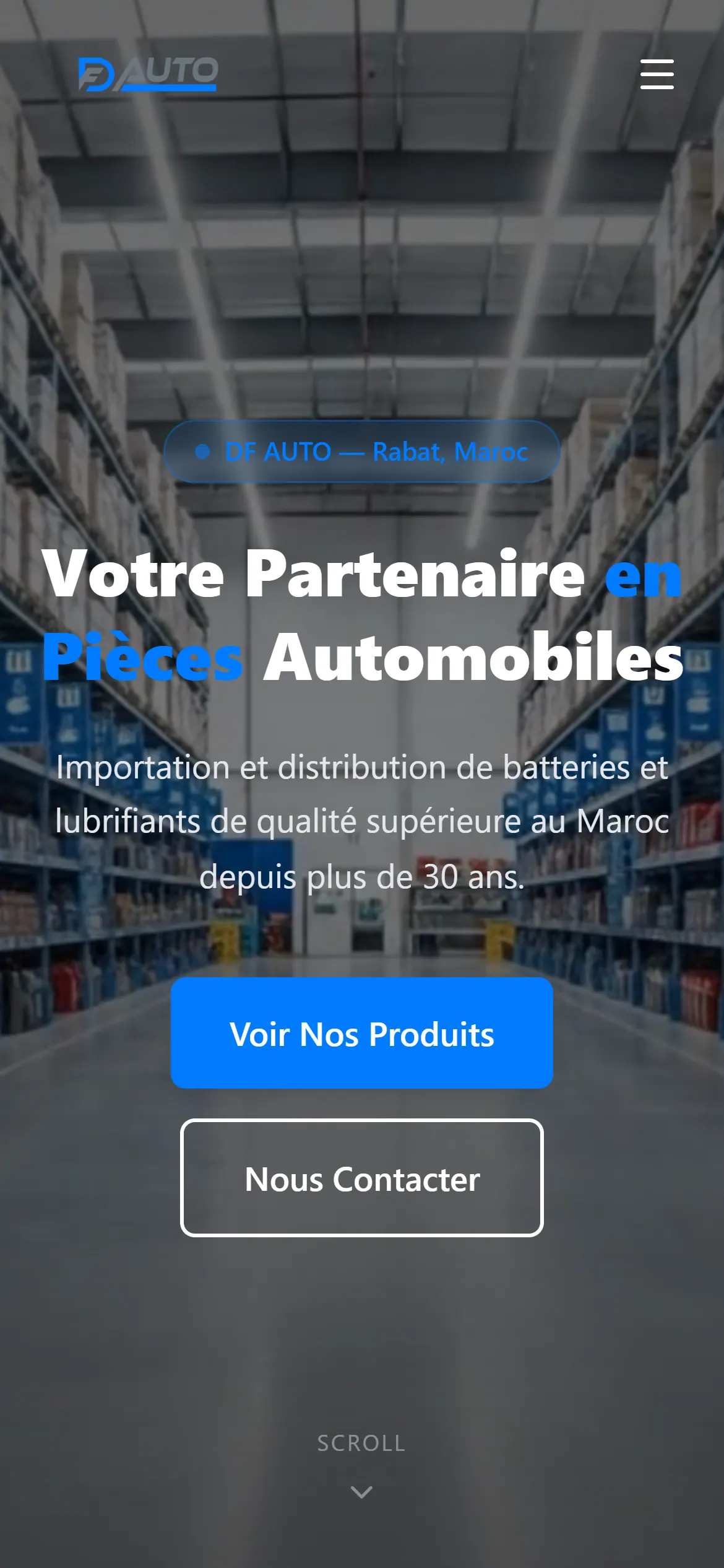 DF Auto — Accueil mobile